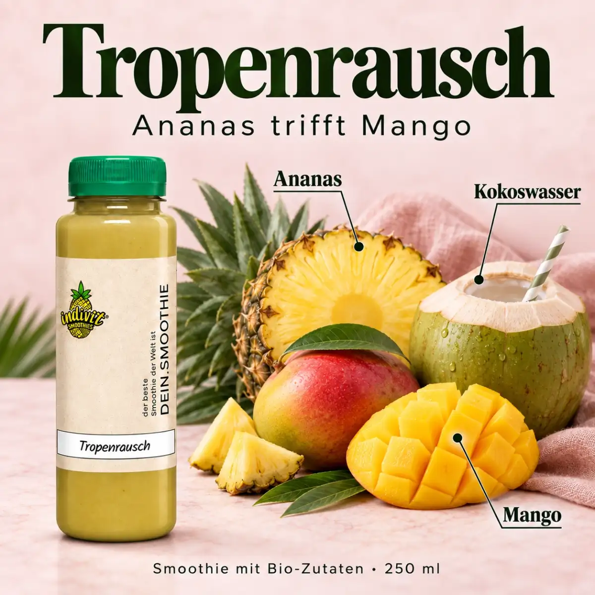 Tropenrausch, 250 ml, mit ausgewählten Zutaten Ananas, Mango und Kokoswasser Tropenrausch, 250 ml, mit ausgewählten Zutaten Ananas, Mango und Kokoswasser