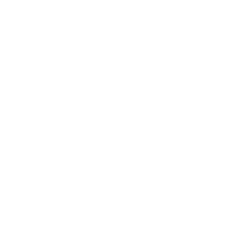 echte Smoothies aus ganzen Früchten